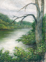 Riverbank (thumbnail)