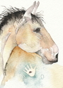 War Horse
