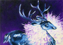 %22Christmas%20Dazzle%22%20notecard (thumbnail)
