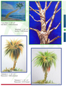 January%202011%20Newsletter (thumbnail)