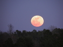 %22Moon%20over%20Aiken%22 (thumbnail)
