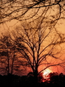 %22Burning%20sunset%22 (thumbnail)