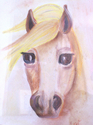 A%20Perfect%20Pony (thumbnail)