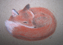 Slumber%20-%20Fox%202 (thumbnail)