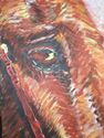 Kind%20Eye (thumbnail)