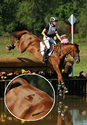 Sinead%20Halpin%20Logo (thumbnail)