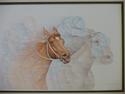 Race