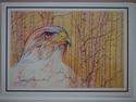 Eagle (3)