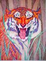 Gerardo Segismundo - tiger rage