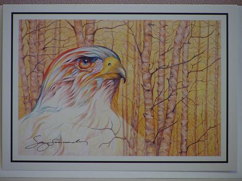 Eagle (3)