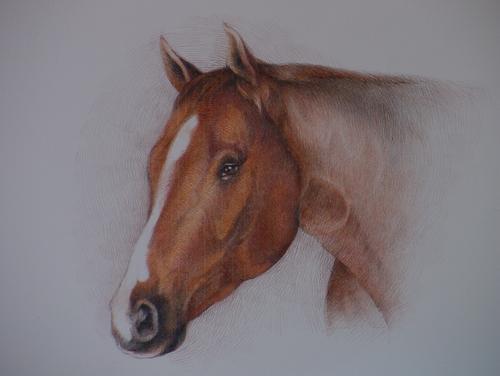 portrait of Itchie