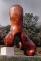 Sea Lion
