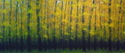 Painting--Oil-LandscapeFall