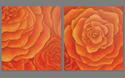 Painting-Persimmon Rose