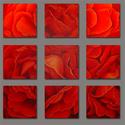 Painting-Tres Rocas