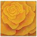 Painting--Acrylic-FloralSunlight