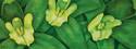 Painting--Acrylic-FloralLaughter