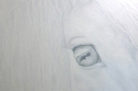 Painting--Oil-AnimalsOld Friend