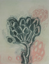 Milkweed%20II (thumbnail)