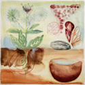 Cosmogony%20II (thumbnail)