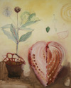 Cardium (thumbnail)