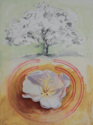 Oak (thumbnail)