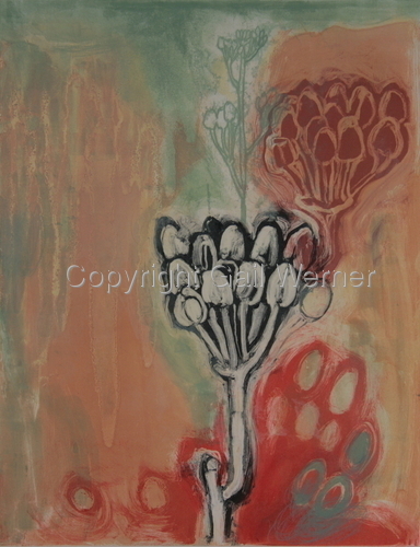 Milkweed (large view)