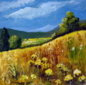 Country Summer Country%20Summer (thumbnail)