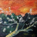 Spring Blossom Spring%20Blossom (thumbnail)