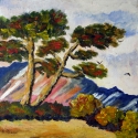 Mountain View Mountain%20View (thumbnail)