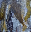 Myrrh (thumbnail)