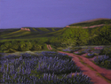 Painting--Oil-LandscapeCentral Texas Blue Bonnets