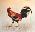 Wild%20Rooster (thumbnail)