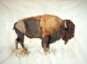 Bison (thumbnail)