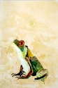 Frog (thumbnail)