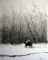Cold Rider