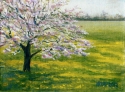 landscape, apple tree, apple blossoms, Helen Read, oil on canvas, spring -  Painting