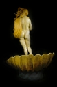 The%20Rebirth%20of%20Venus (thumbnail)