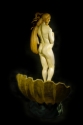 The%20Rebith%20of%20Venus (thumbnail)