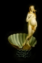 The%20Rebirth%20of%20Venus (thumbnail)