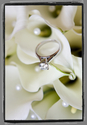 ring (thumbnail)