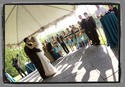 5.23.09 (thumbnail)