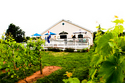 Keegan%20Burlew%20Wedding (thumbnail)