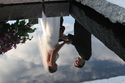 Richard%20and%20Abby (thumbnail)