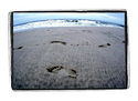 barefoot%20beach (thumbnail)