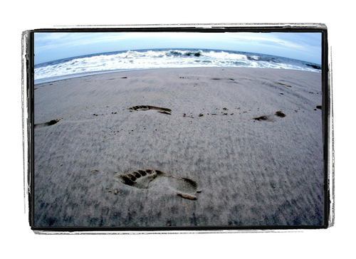 barefoot%20beach (large view)