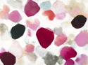 Petal%20II%20%28Horizonal%29 (thumbnail)