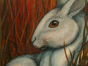 Meadow (thumbnail)