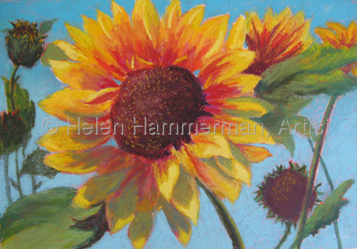 Painting-Floral-Star of the Show