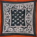 Blue%20Bandana (thumbnail)